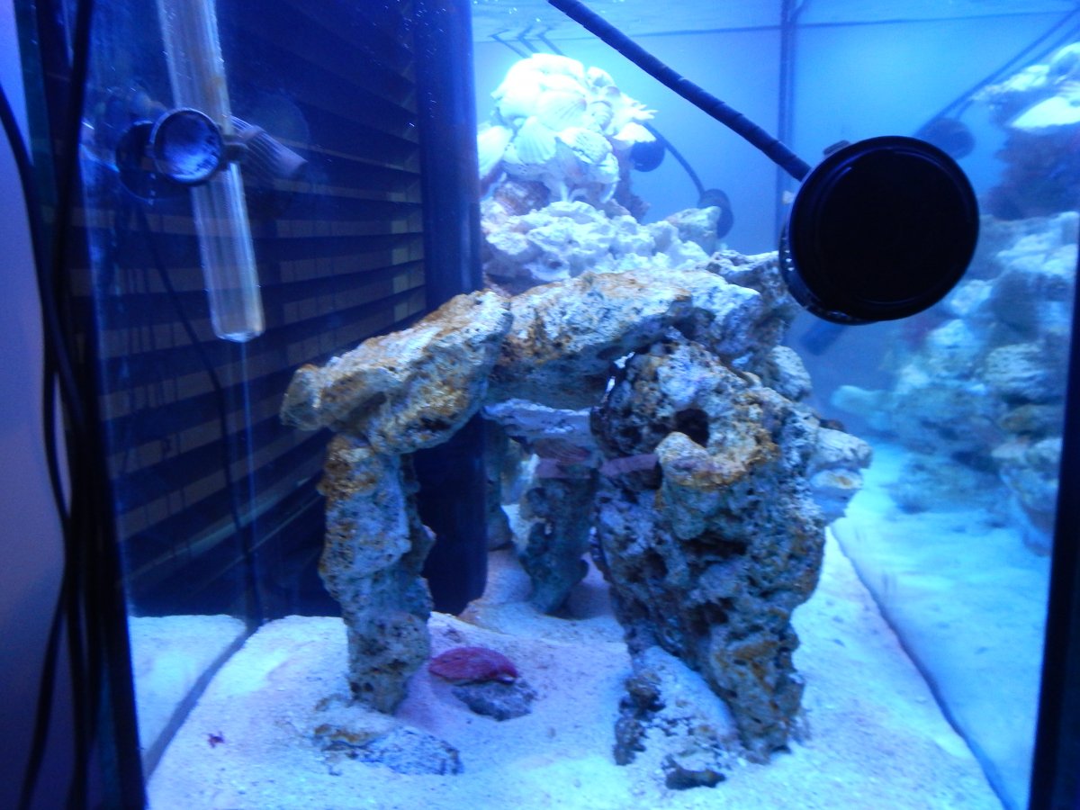 Rockwork 6.JPG