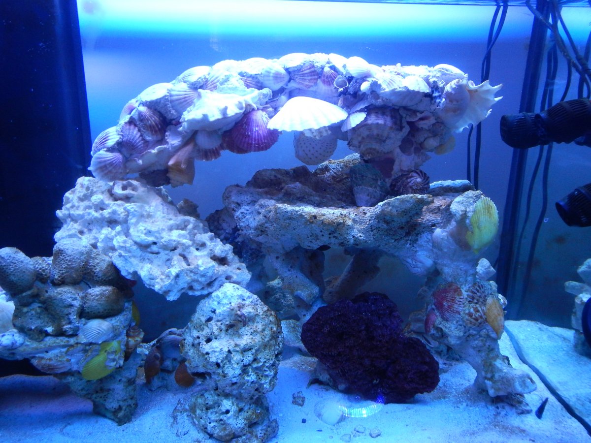 Rockwork 7.JPG