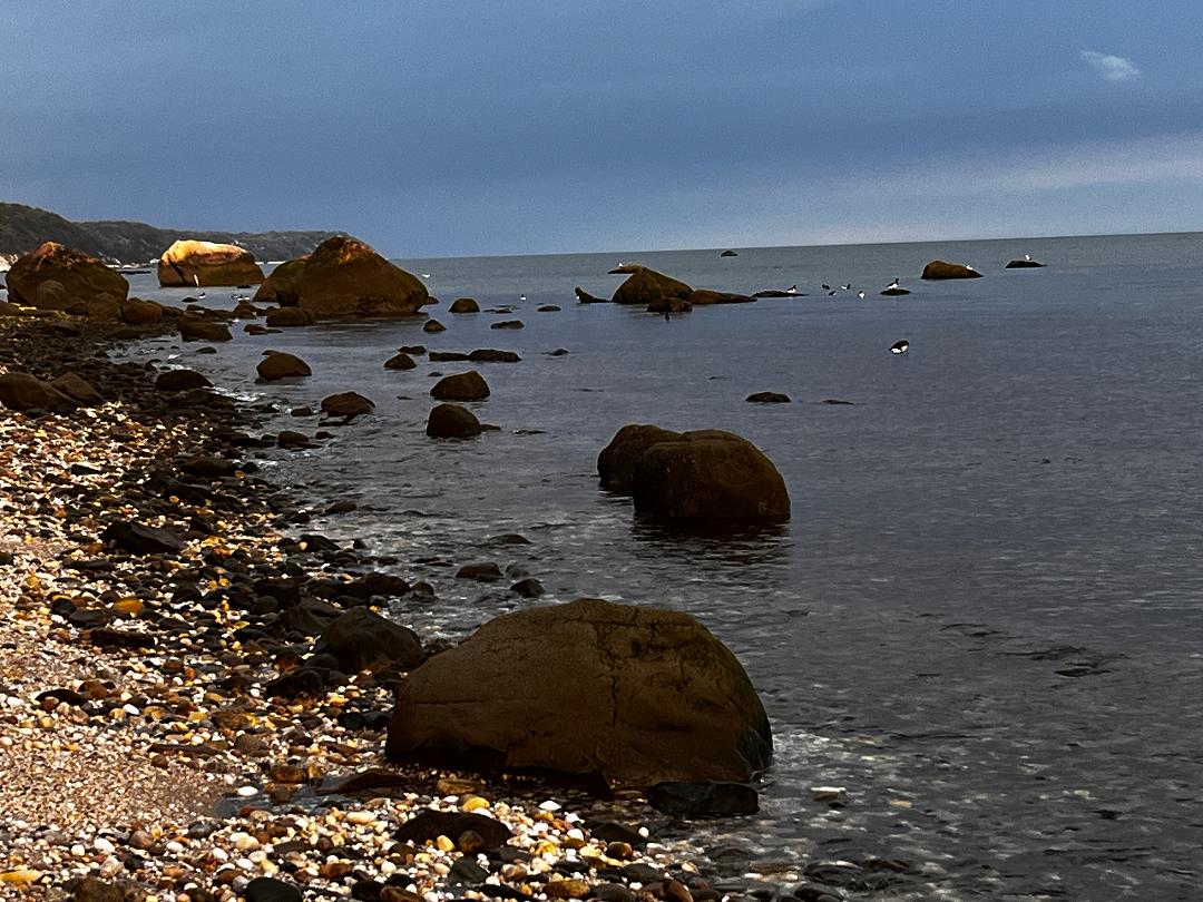 Rocky beach.jpg