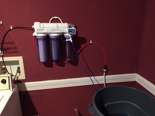 RODI.JPG