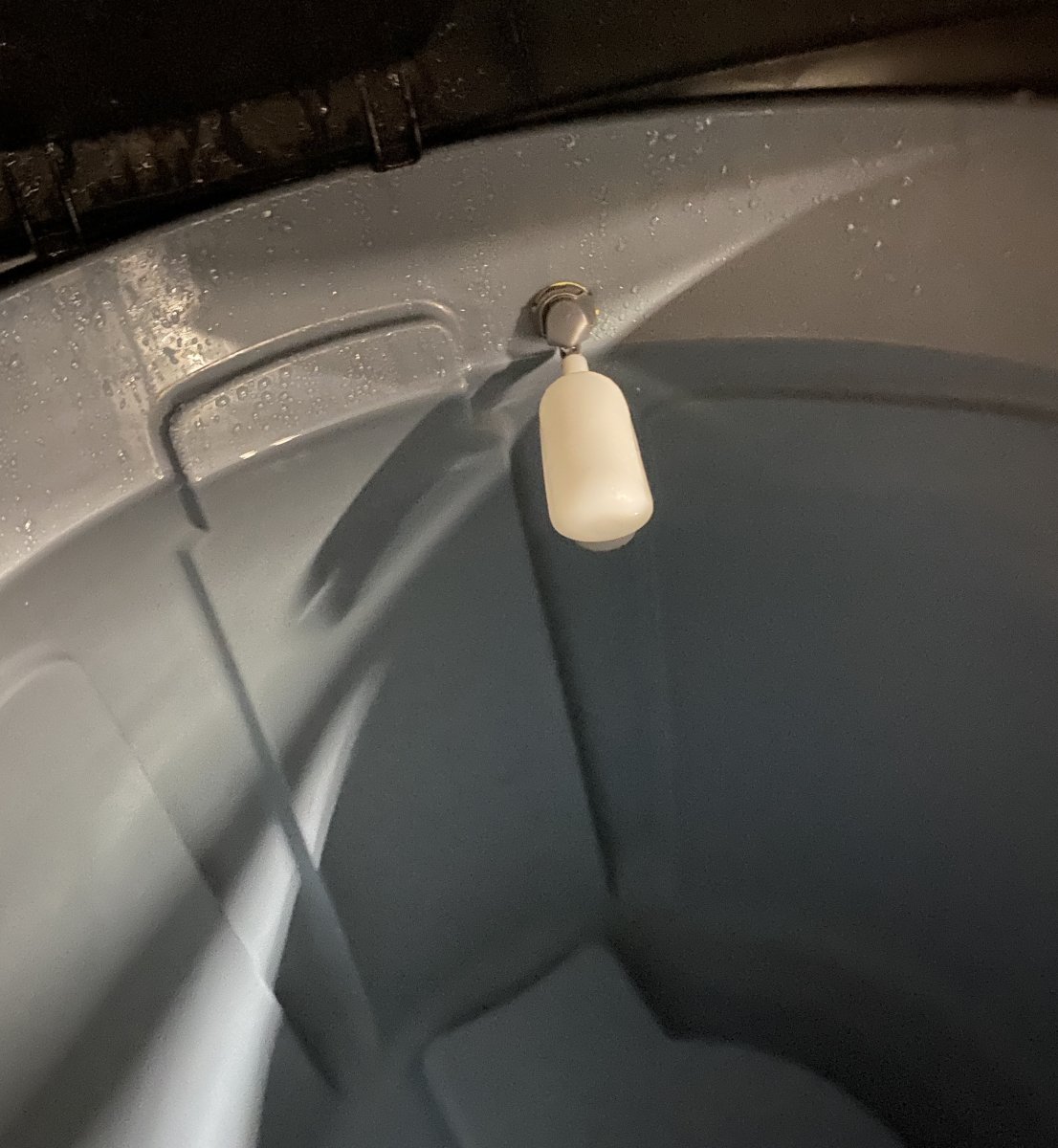 RODI_float_full.JPG