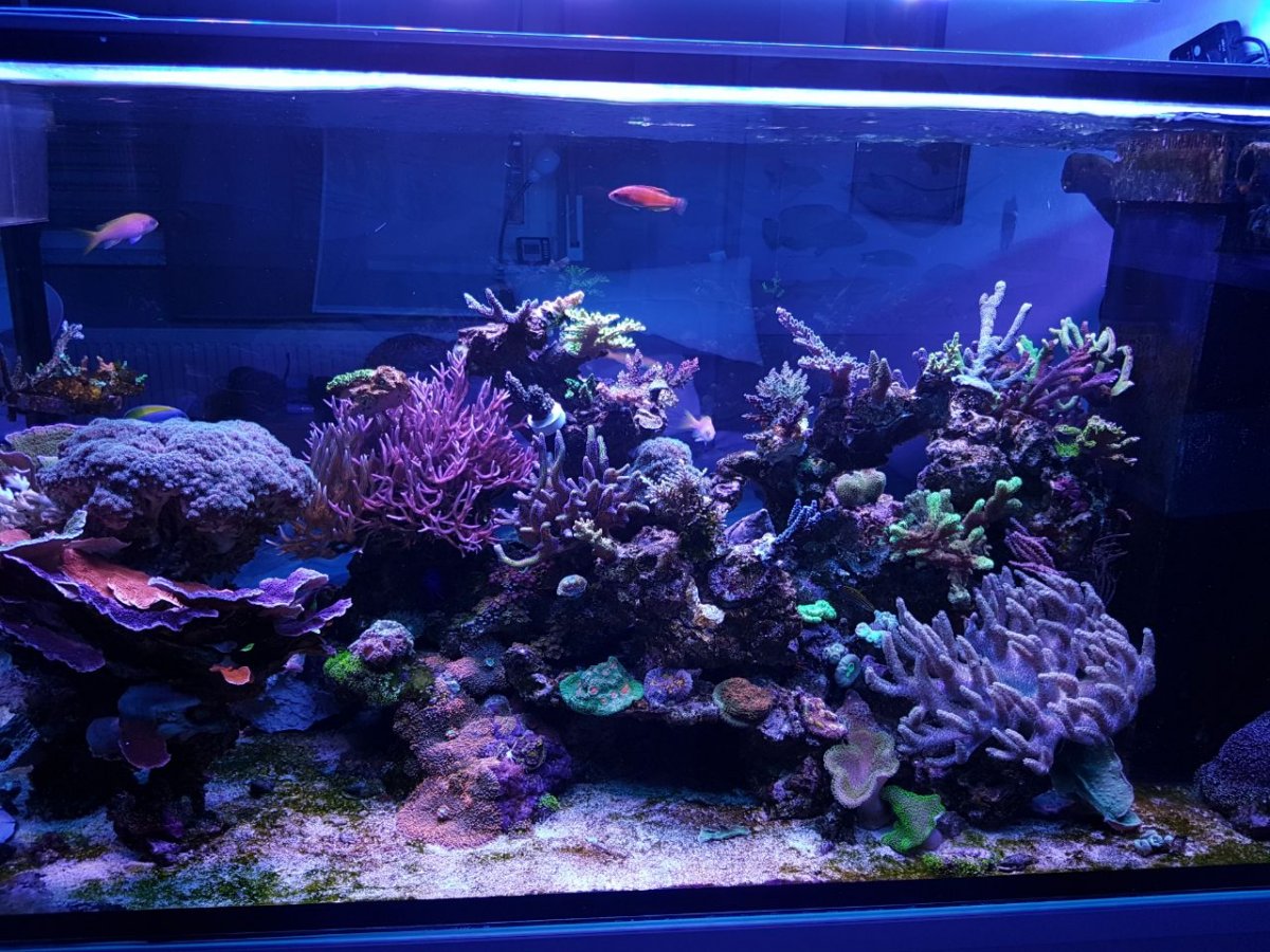 room side.jpg