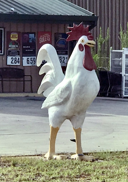 Rooster.jpg