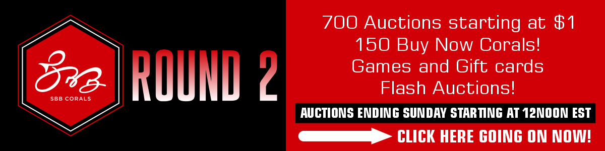 Round 2 1200x300 g.jpg