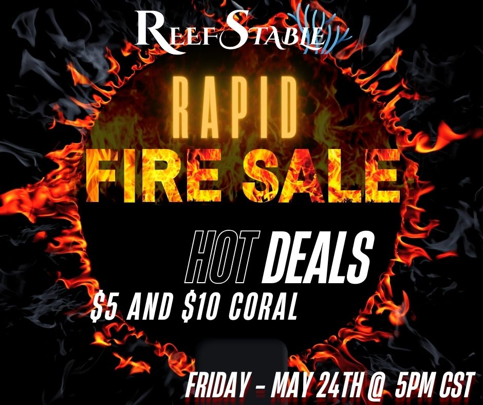 rs-rapid-fire-sale.jpg