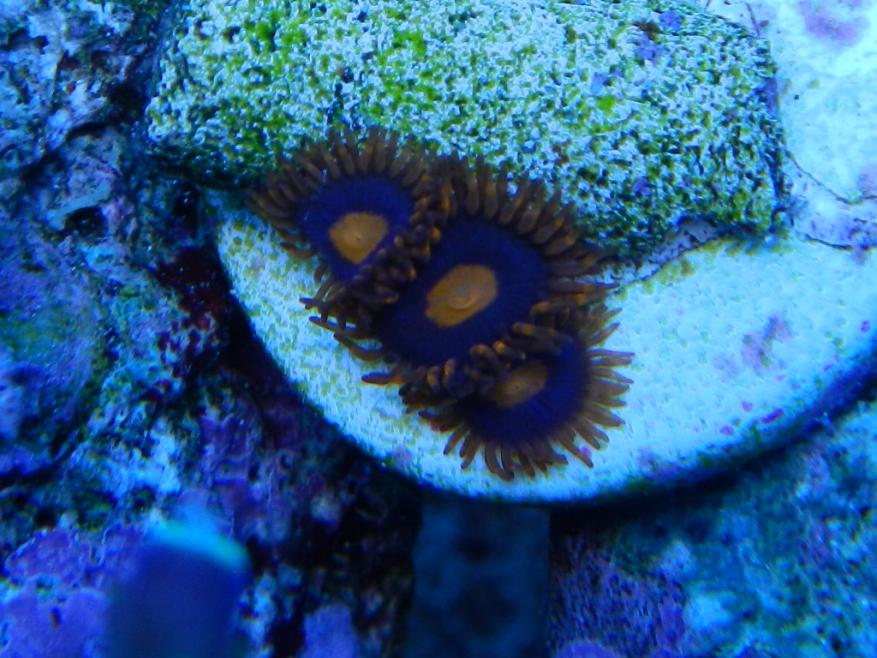RSCN0345.jpg