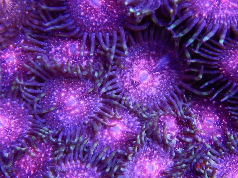 RSCN0349.jpg