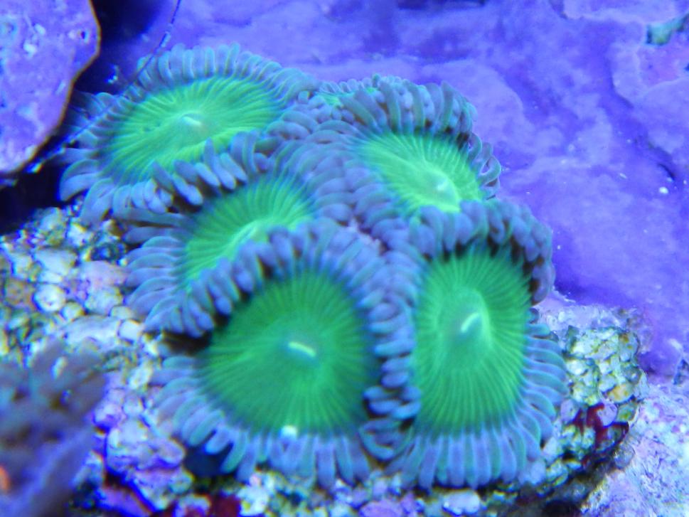 RSCN0524.jpg
