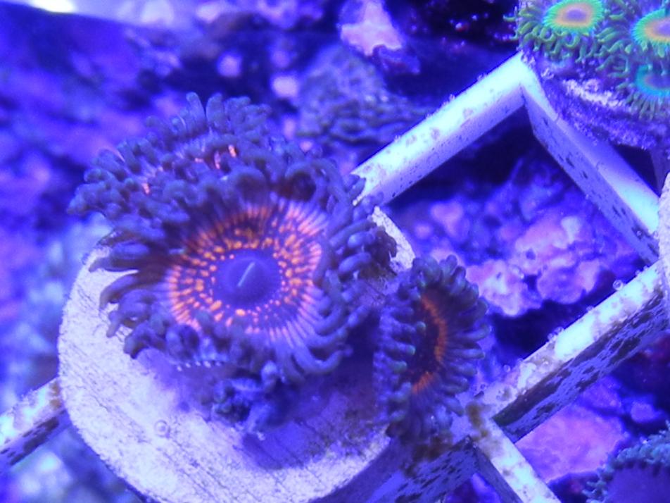 RSCN1236.jpg