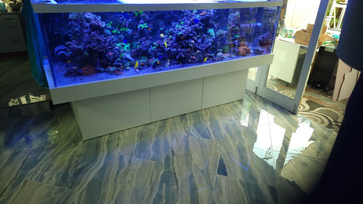 Rubio - Floor Tile - Fish Room 5.jpg