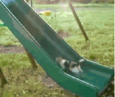 RunningInPlace.gif