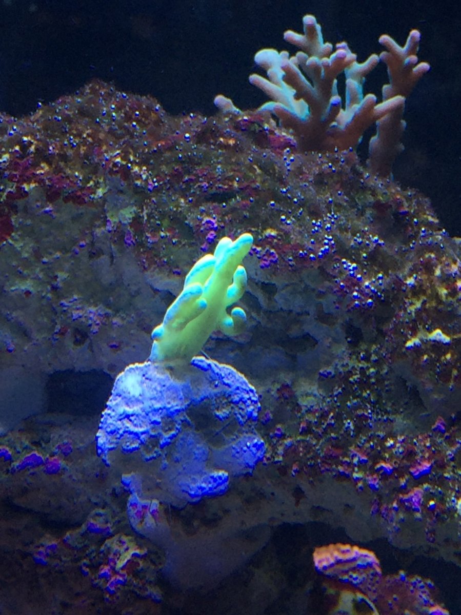 S__20267088.jpg