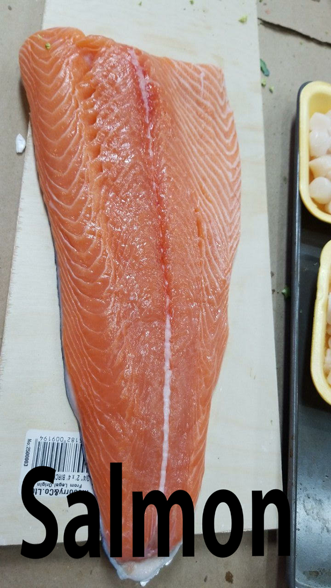 salmon.png