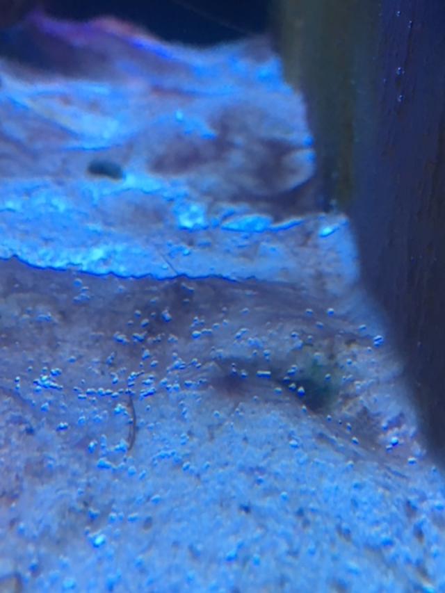 sand 3.jpg