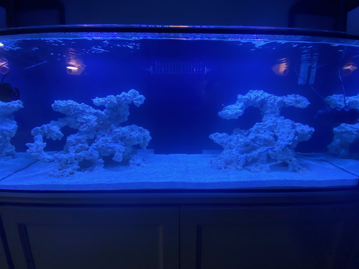 Sand Added.jpg