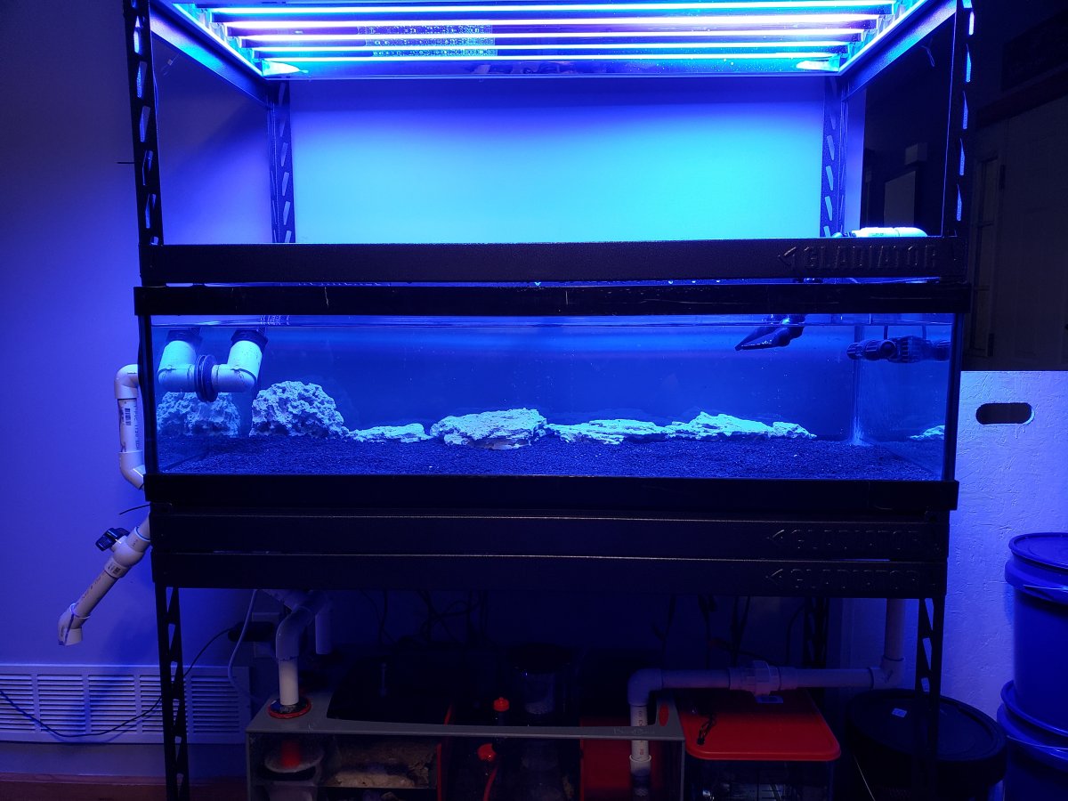 sand settled .jpg