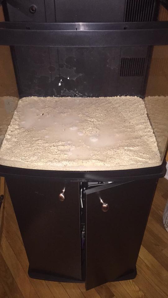 sand_bed.jpg