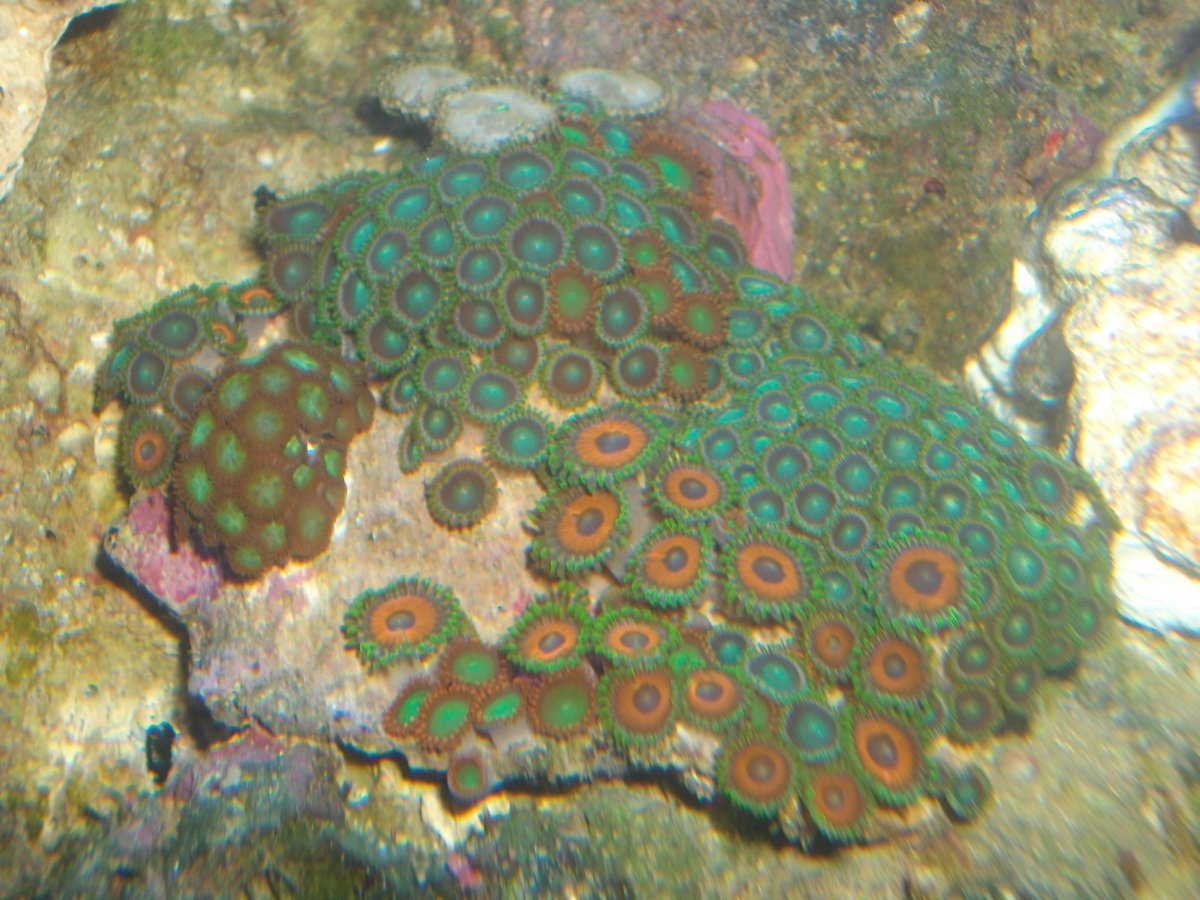 SANY0007.JPG