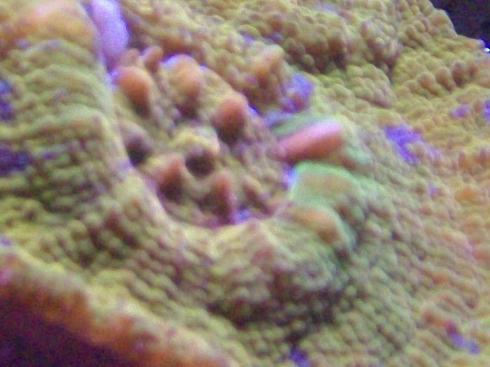 SANY0117.JPG