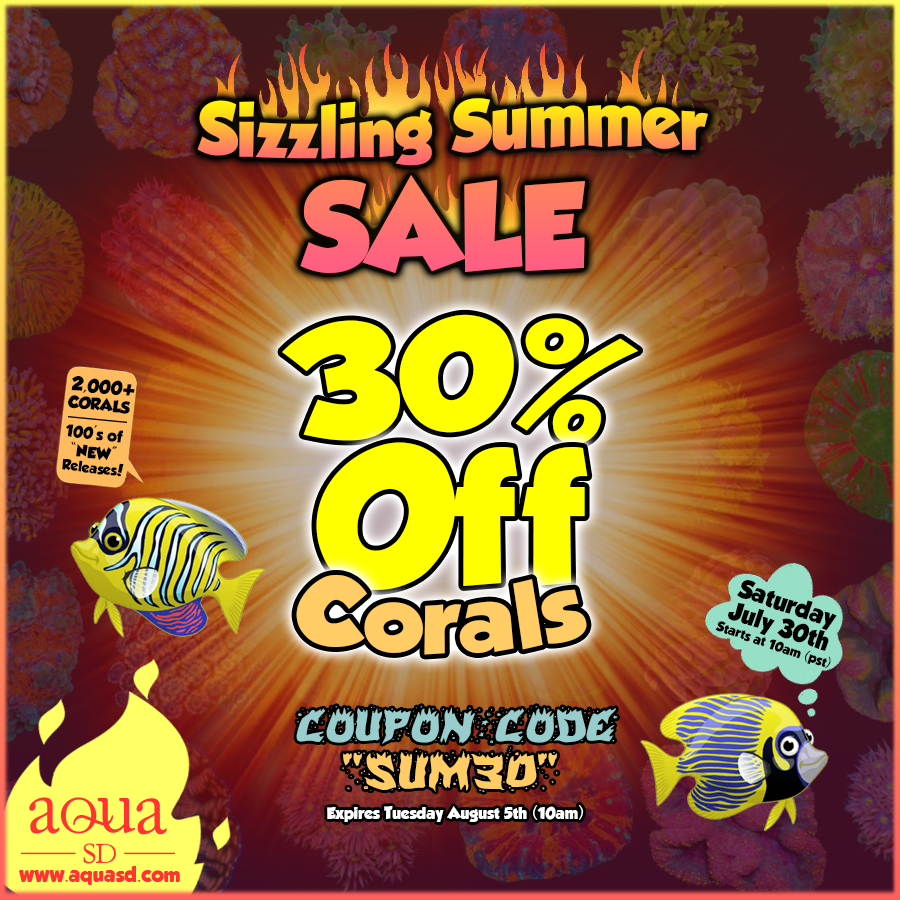 Saturday-Monday-SizzlingSummerSale.png