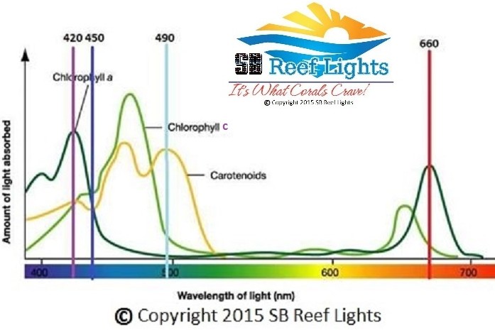 SB Reef Light Spectrum.jpg