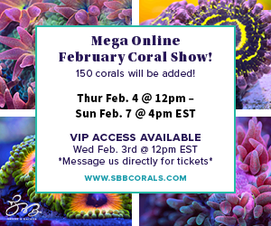 SBB_February Coral Show Ad 300x250.png