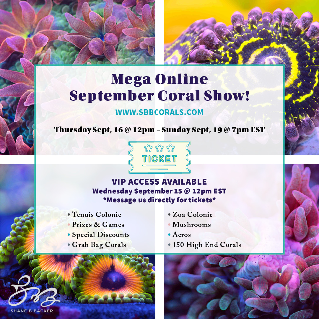 SBB_Mega September Coral Show (1).jpg