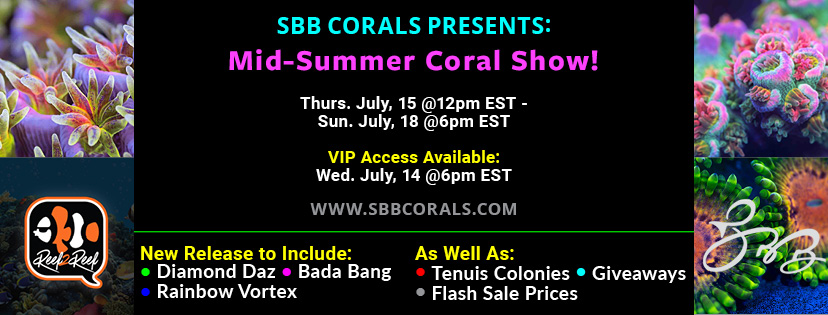 SBB_Mid-Summer Sale FB Banner 828x315.jpg