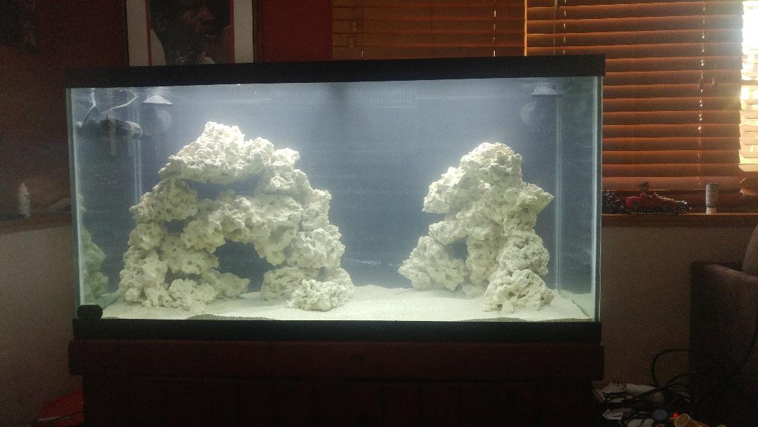 scape front.jpg