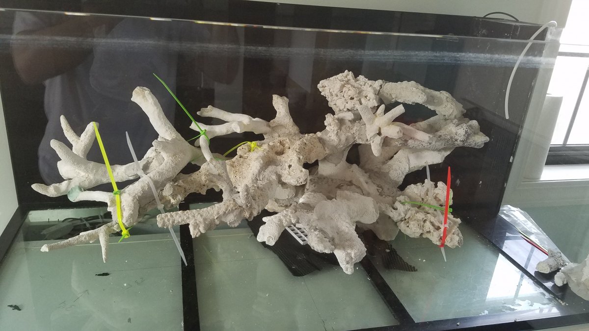 scaping2.jpg