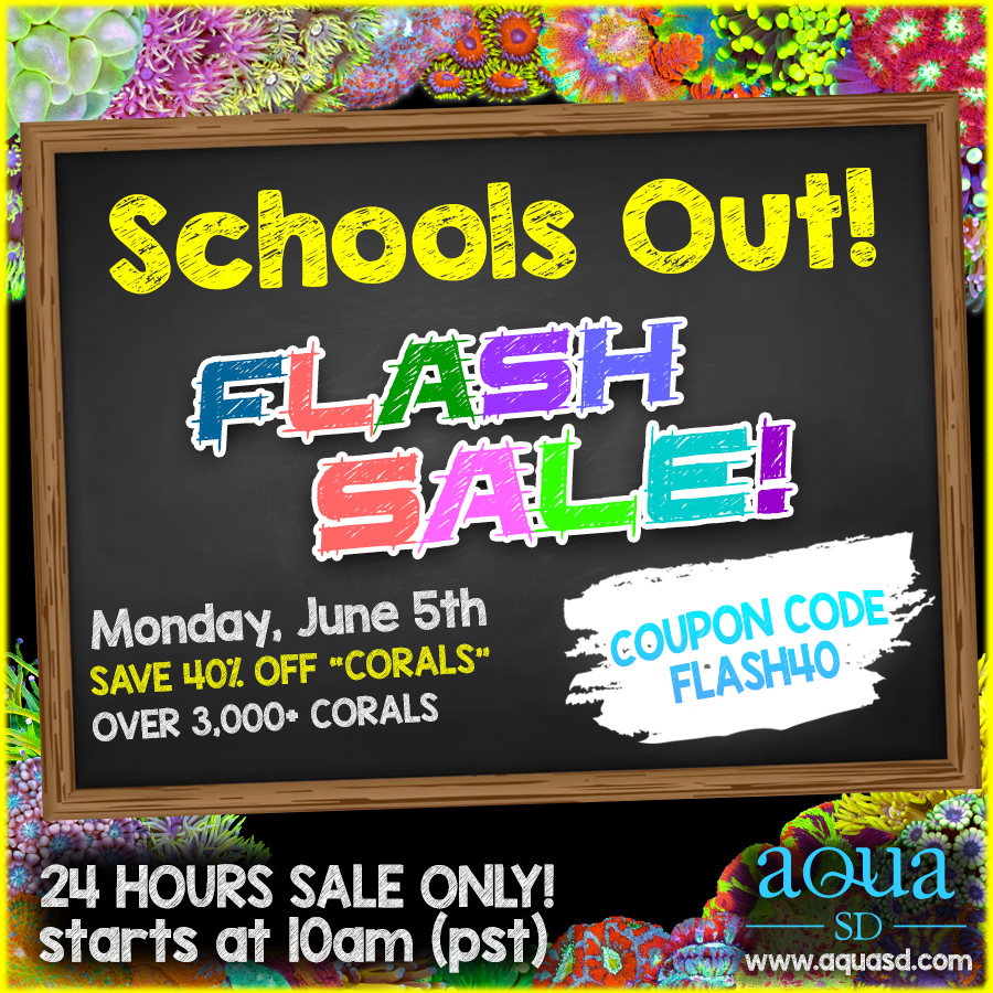 SchoolsOutFlashSale.png
