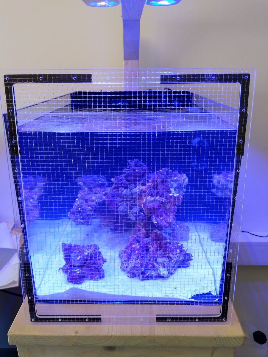 screen1.jpg
