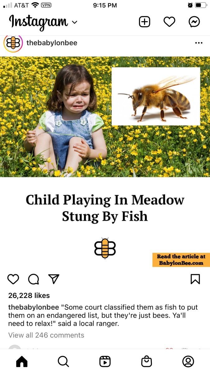 Screensho.jpg