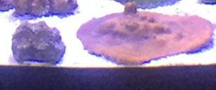 Screenshot_1.png