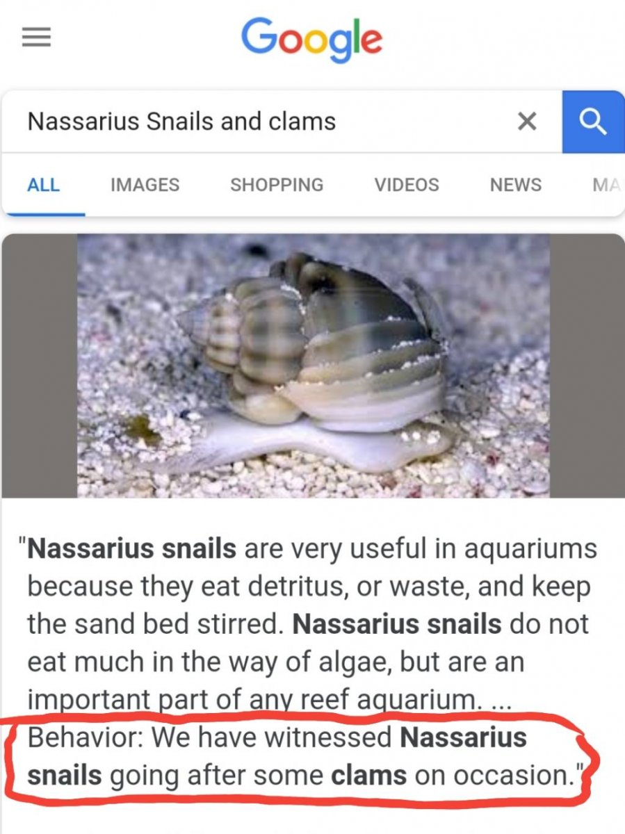Screenshot_20180722-110619_Chrome.jpeg
