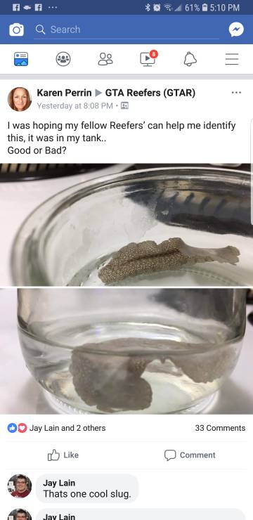 Screenshot_20181015-171004_Facebook.jpeg
