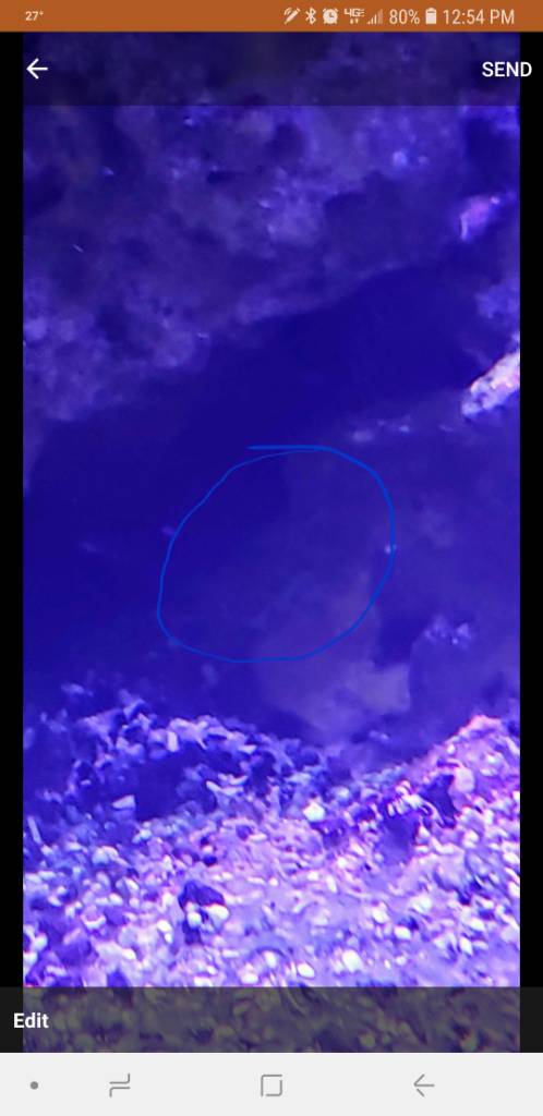 Screenshot_20190213-125422.jpeg