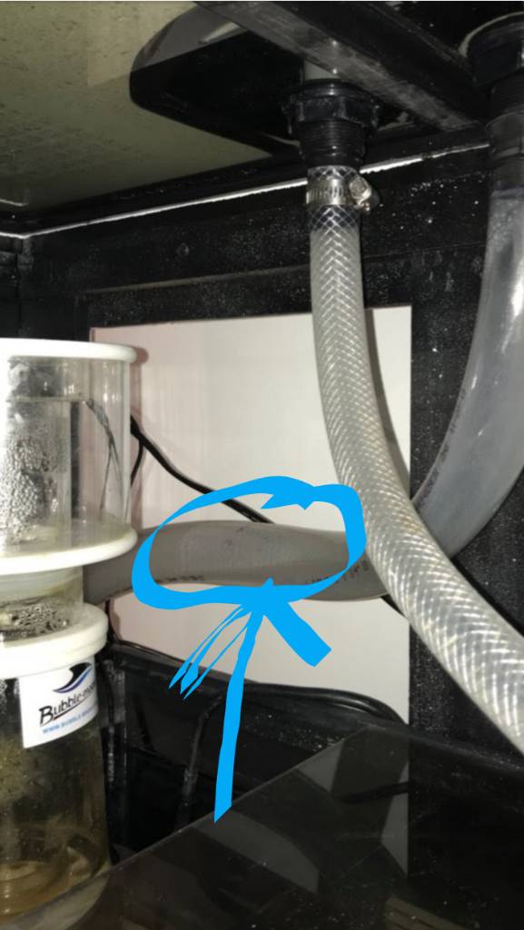 Screenshot_20190220-214645_Gmail.jpeg