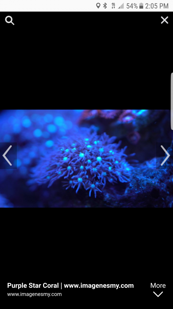 Screenshot_20190313-140540.png