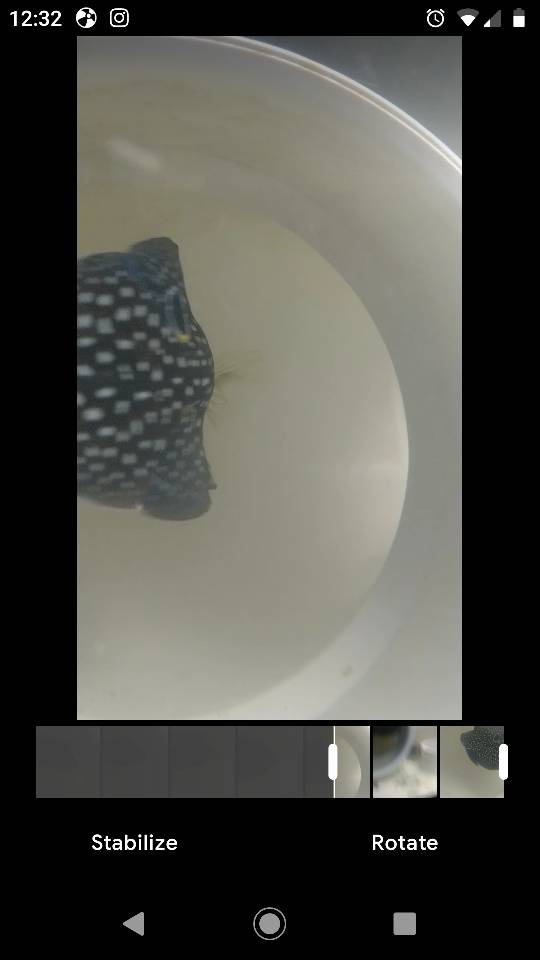 Screenshot_20190404-123222.jpeg