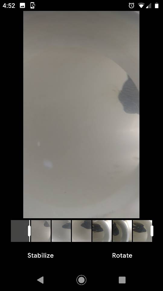 Screenshot_20190404-165220.jpeg