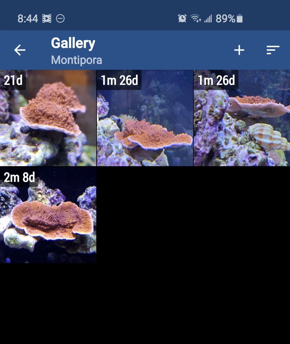 Screenshot_20200529-084458_Aquarium Note.jpg