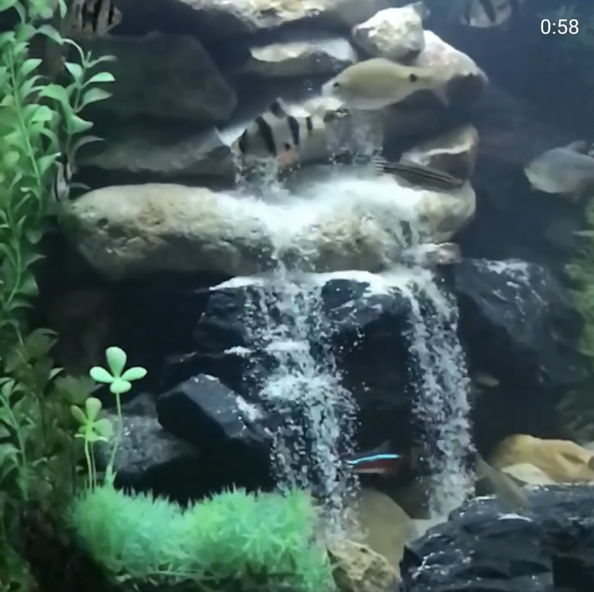 Aquarium deals sand fountain