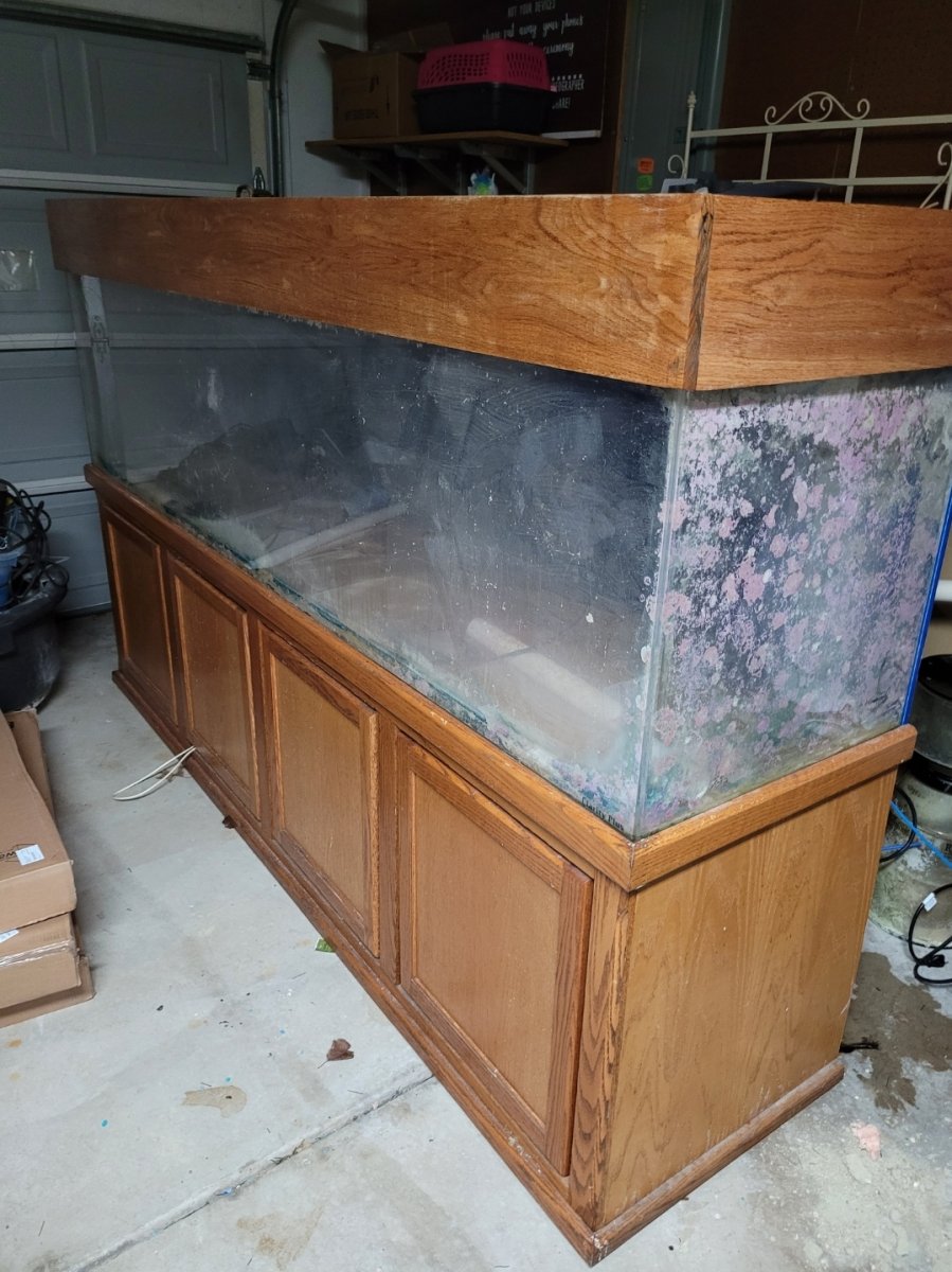 8ft fish tank on sale
