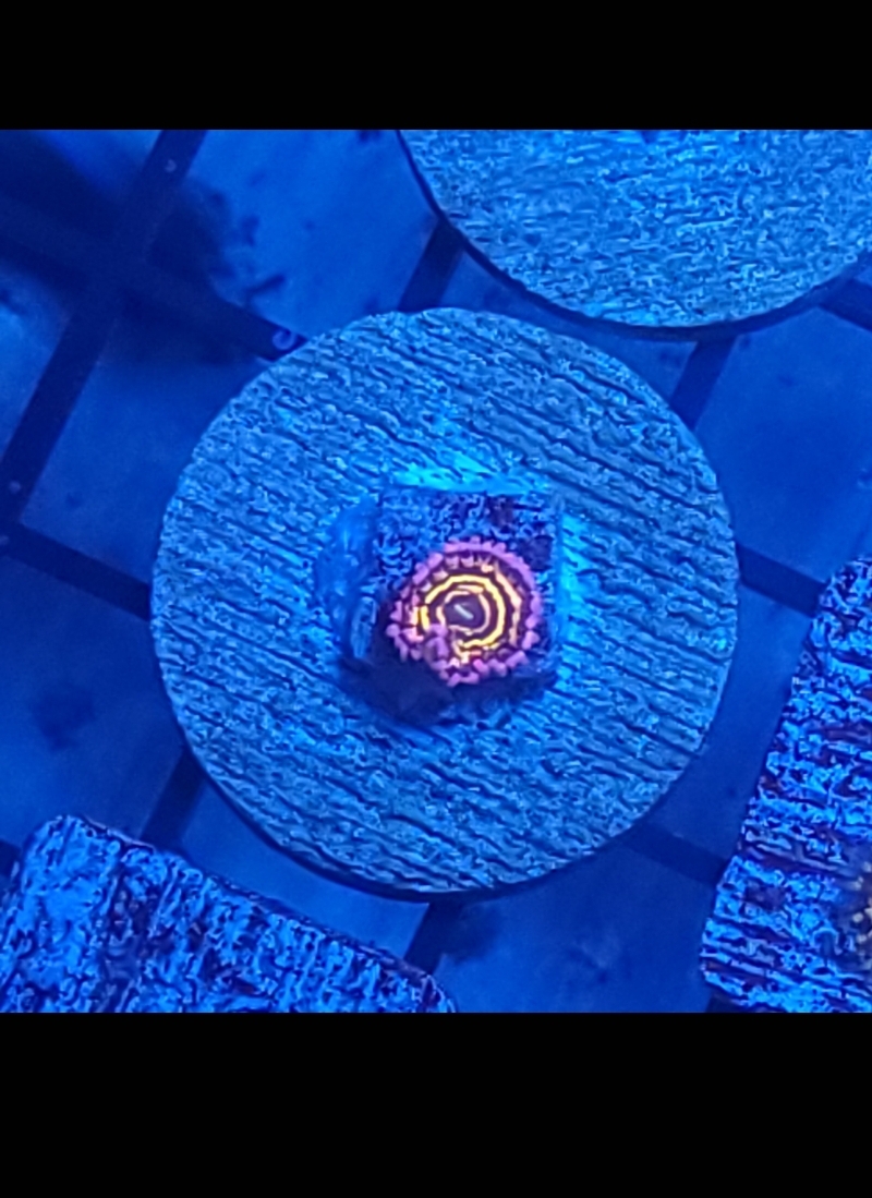Screenshot_20230425_194529_Gallery.jpg