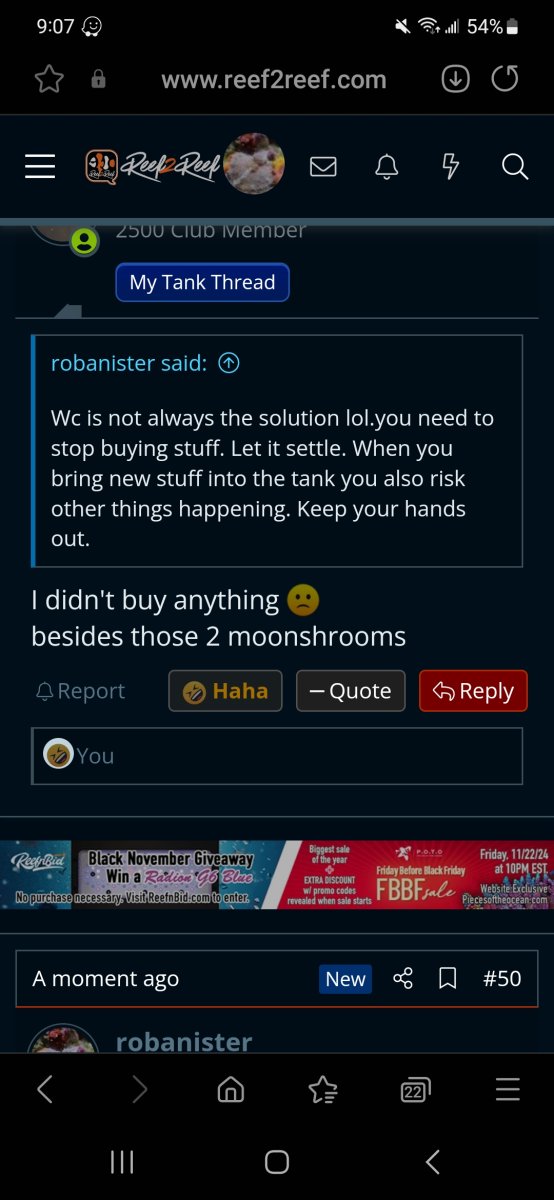 Screenshot_20241115_090724_Samsung Internet.jpg