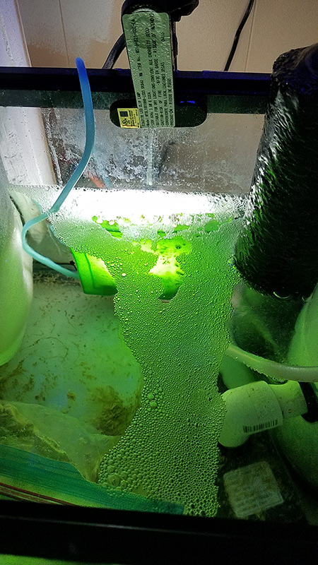 Scrubber.jpg