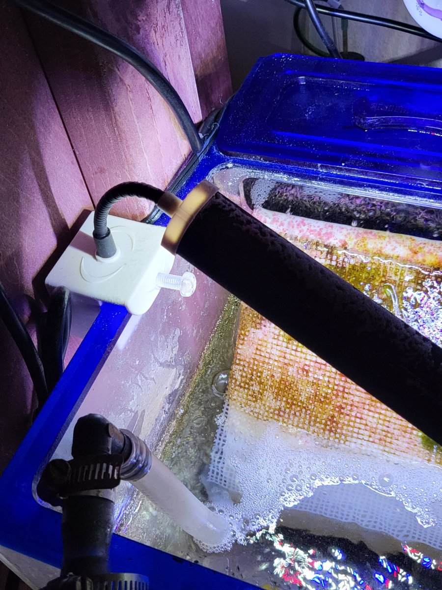 Scrubber With Light.jpg