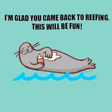 seal.gif