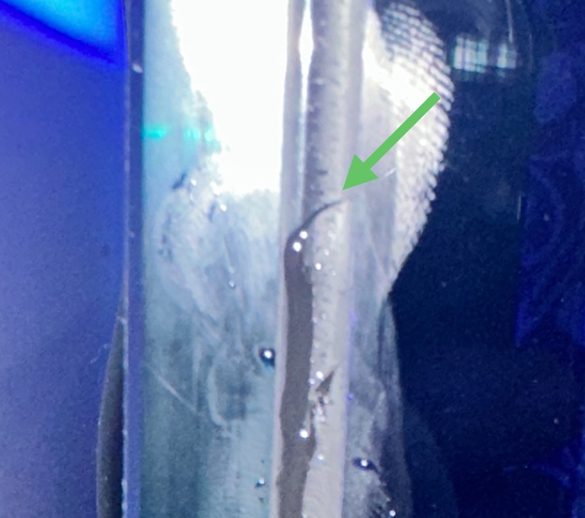 Seam Damage.jpg